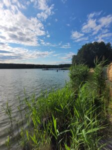 Jezioro Wolsztyńskie