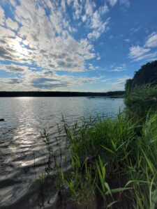 Jezioro Wolsztyńskie